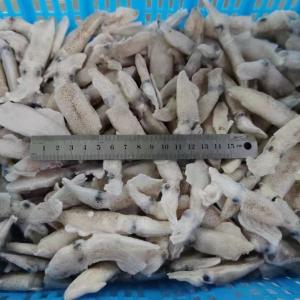 IQF baby squid boneless 3/6cm